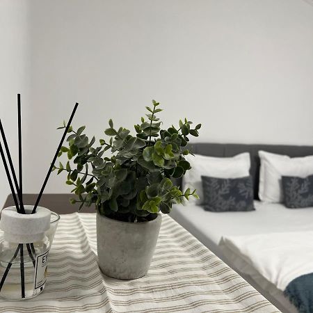 The N Apartment Kaloşvar Dış mekan fotoğraf