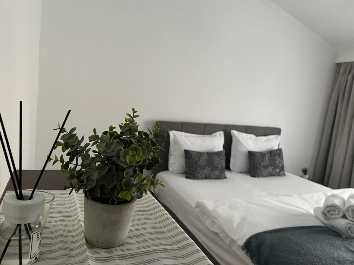 The N Apartment Kaloşvar Dış mekan fotoğraf
